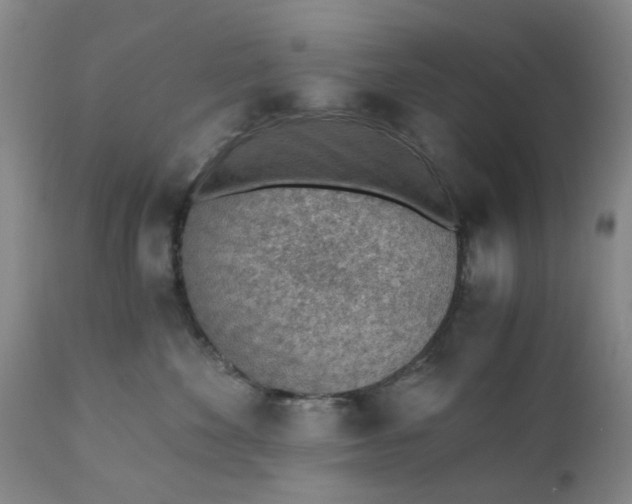 X0000110690524200906261346