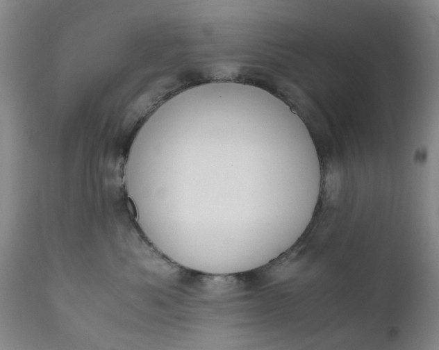 X0000110690525200906261346