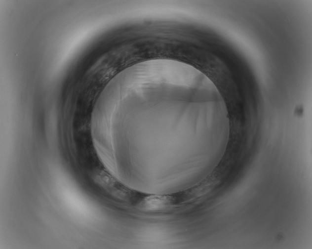 X0000110690526200906261346