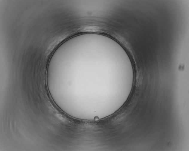 X0000110690529200906261346