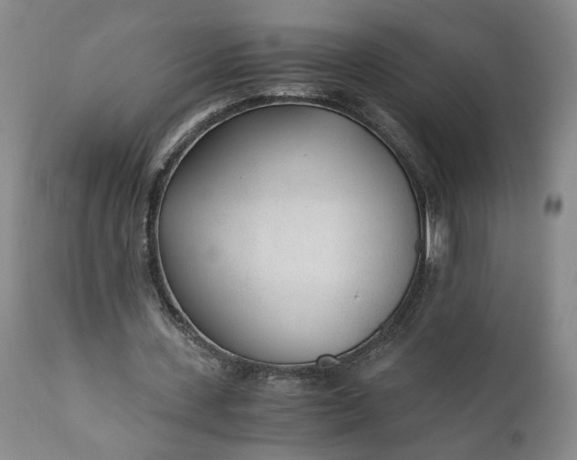 X0000110690531200906261346