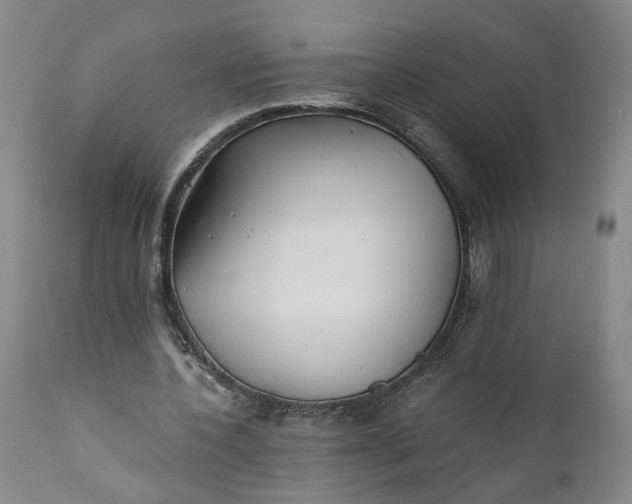 X0000110690532200906261346