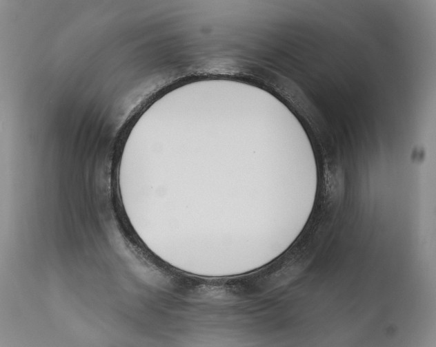 X0000110690534200906261346