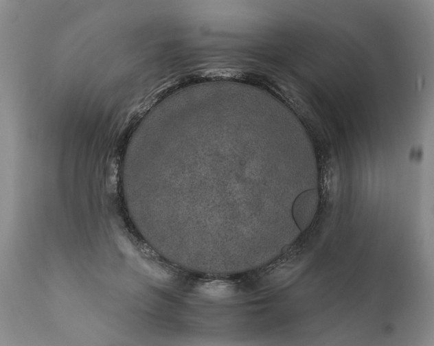 X0000110690551200906261346