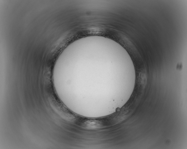 X0000110690557200906261346