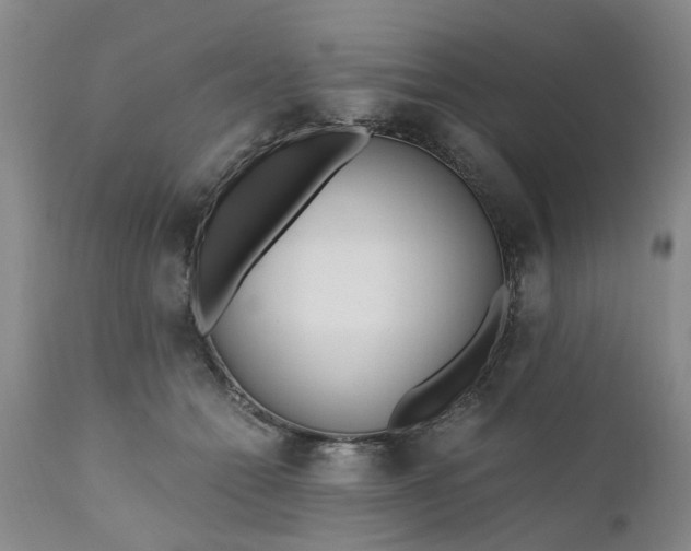 X0000110690558200906261346