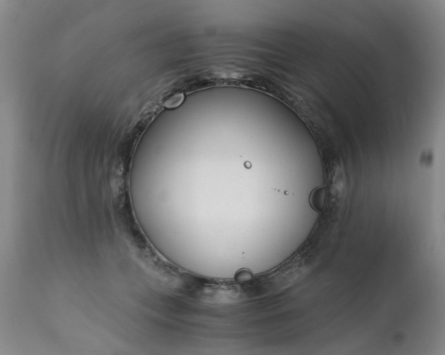 X0000110690559200906261346