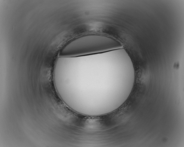 X0000110690560200906261346