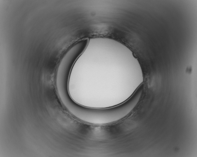 X0000110690564200906261346