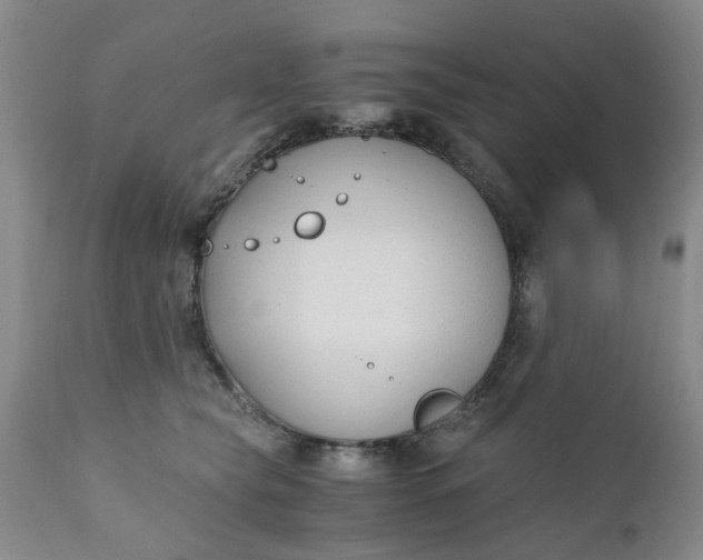 X0000110690565200906261346