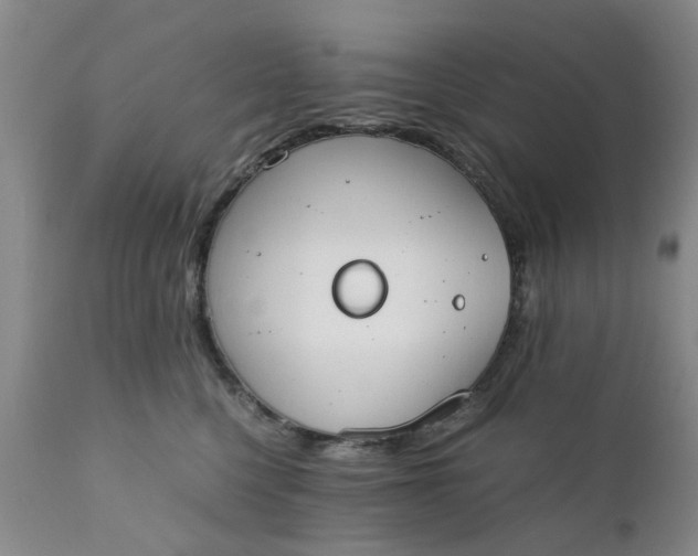 X0000110690568200906261346