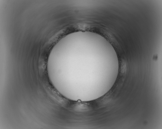 X0000110690569200906261346