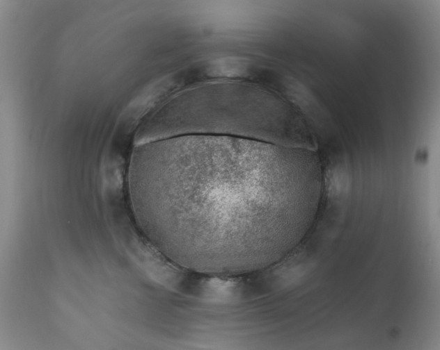 X0000110690570200906261346