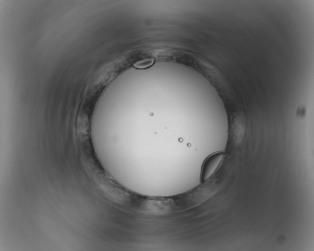 X0000110690571200906261346