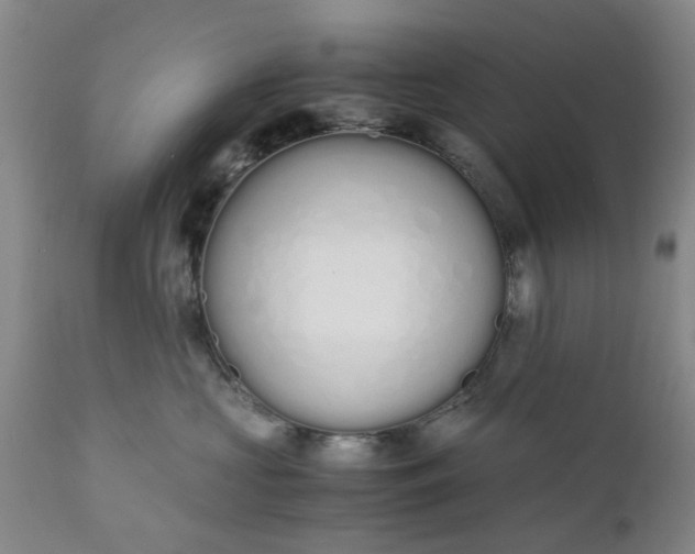 X0000110690573200906261346