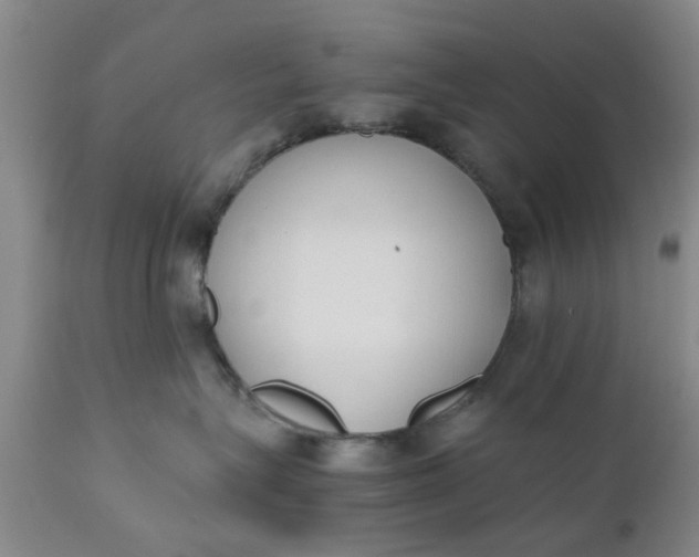 X0000110690575200906261346