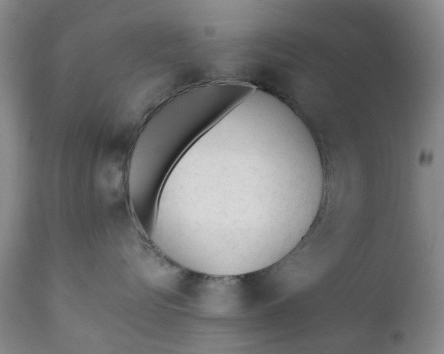 X0000110690576200906261346