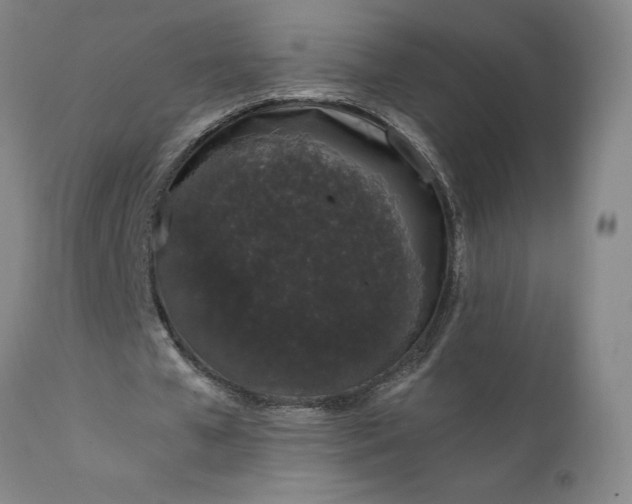 X0000110690577200906261346