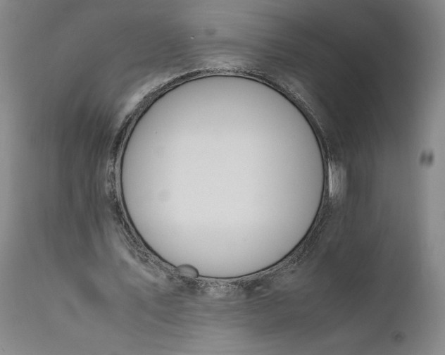 X0000110690579200906261346