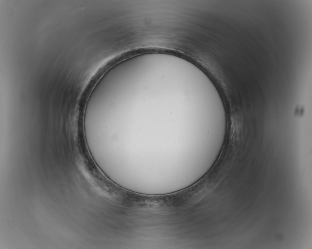 X0000110690580200906261346