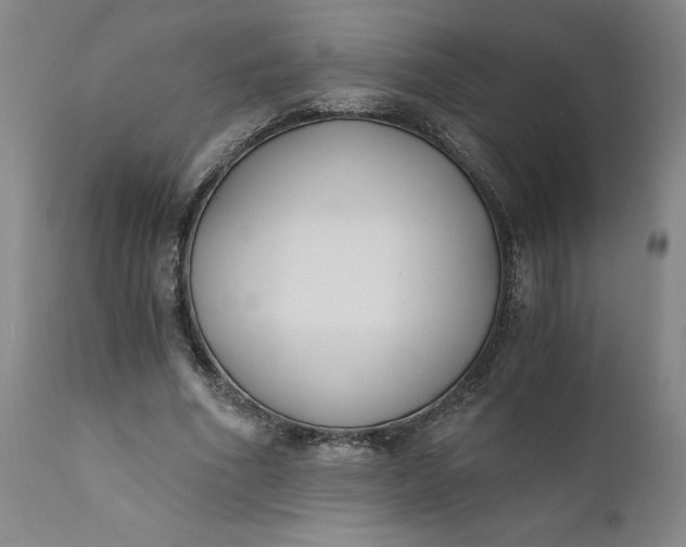 X0000110690586200906261345