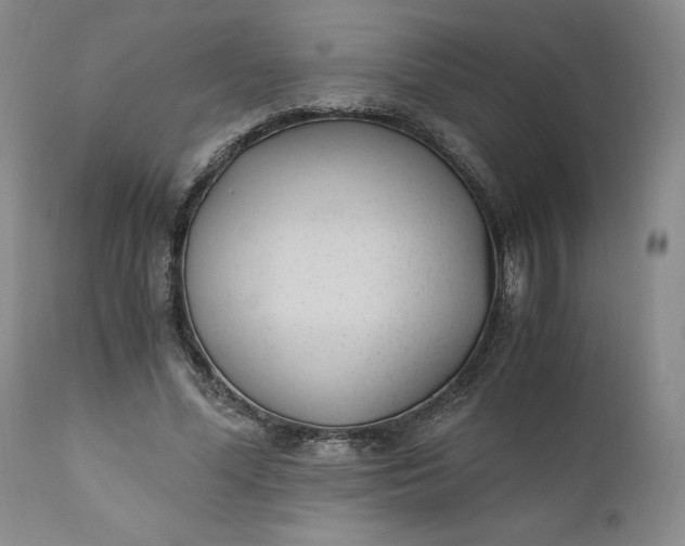 X0000110690588200906261345