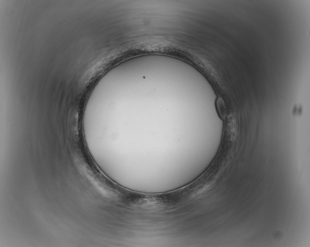 X0000110690589200906261345