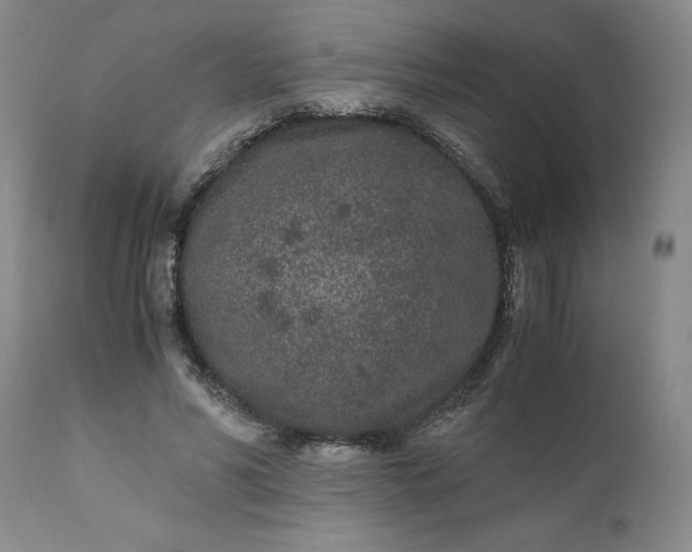 X0000110690590200906261345