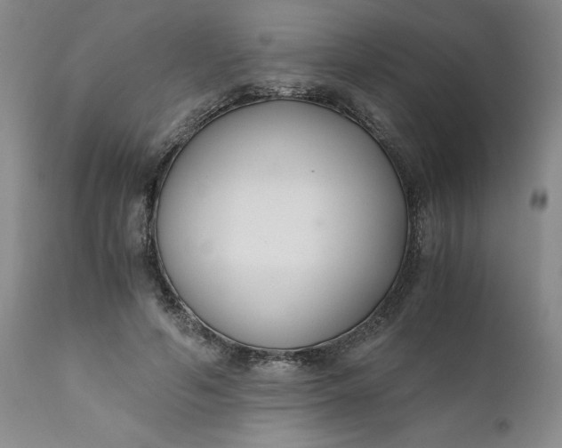 X0000110690594200906261345