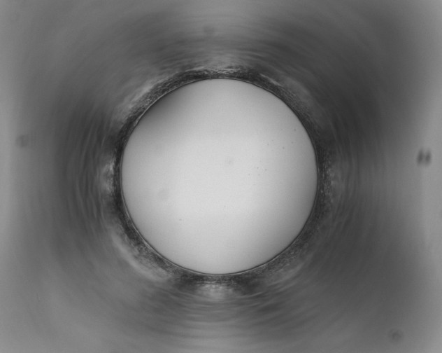 X0000110690596200906261345