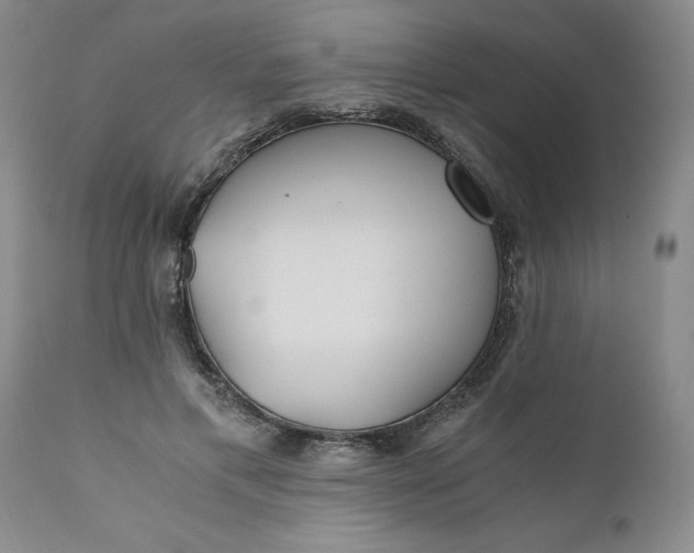 X0000110690597200906261345