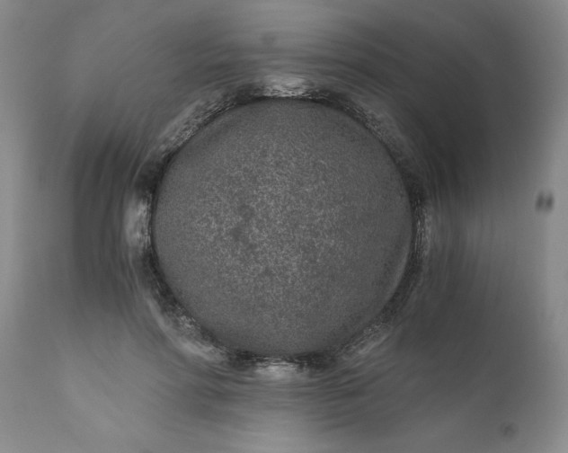 X0000110690598200906261345