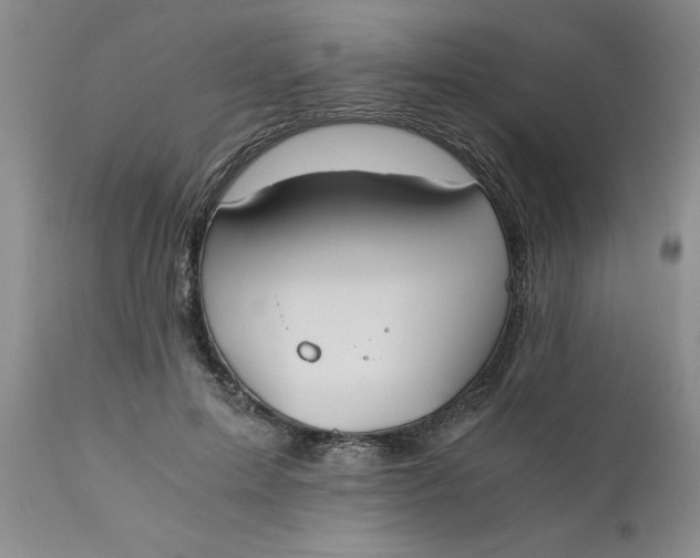 X0000110690599200906261345