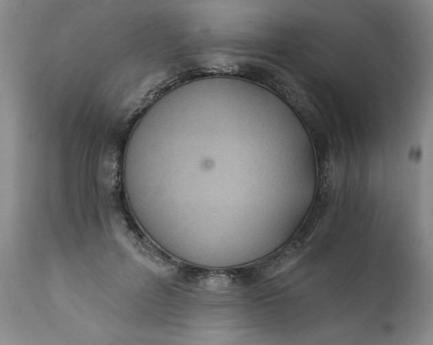 X0000110690600200906261345