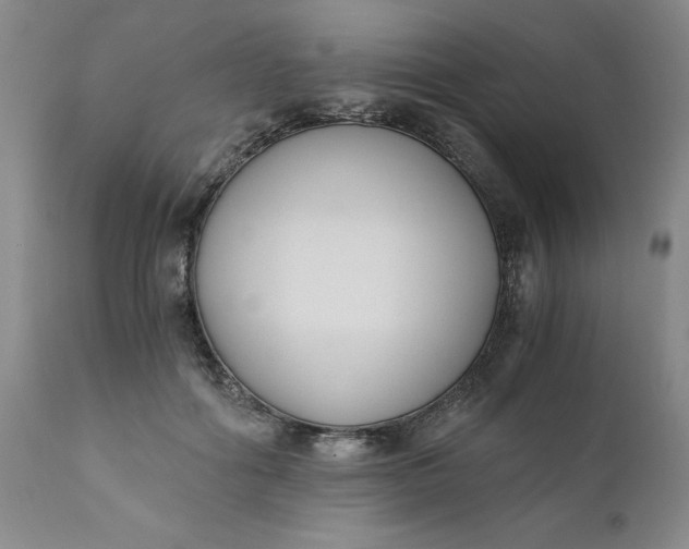 X0000110690602200906261345