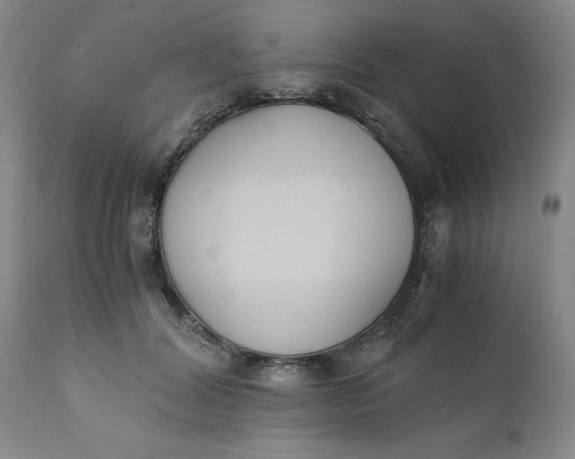 X0000110690604200906261345