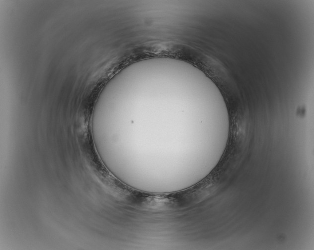 X0000110690607200906261345