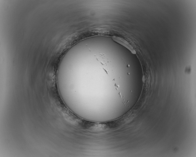 X0000110690609200906261345