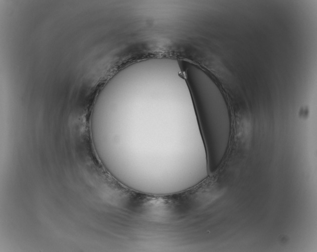 X0000110690611200906261345