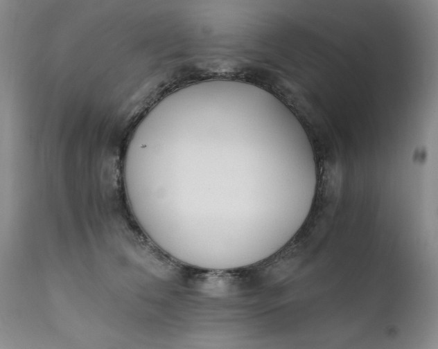 X0000110690612200906261345