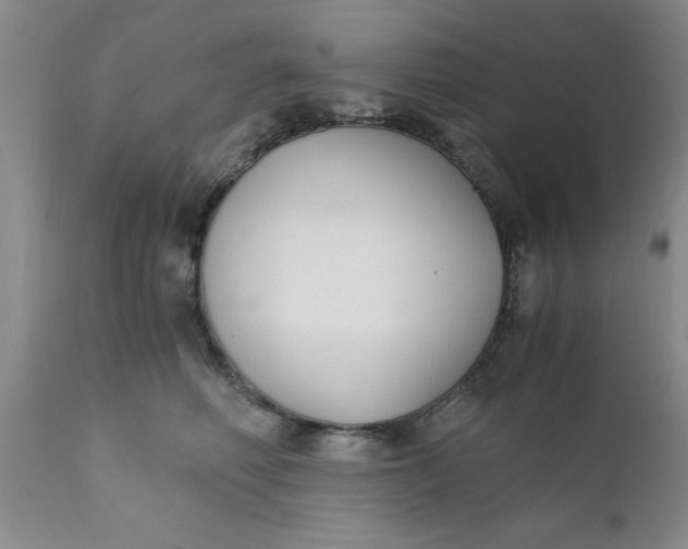 X0000110690614200906261345