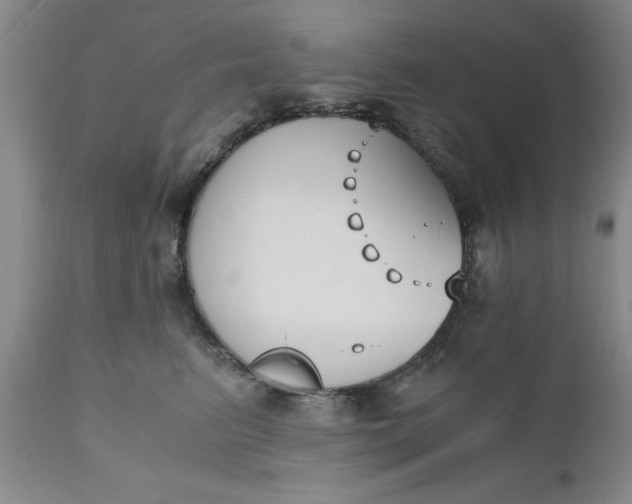 X0000110690615200906261345