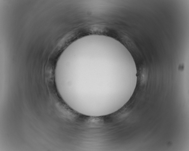 X0000110690619200906261345