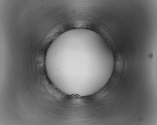 X0000110690620200906261345