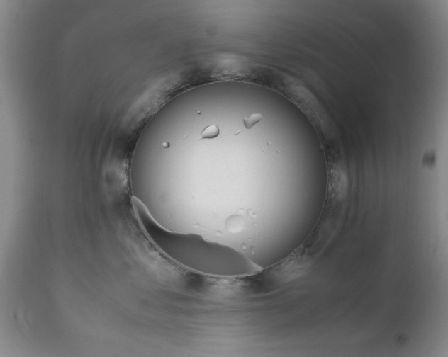 X0000110690621200906261345