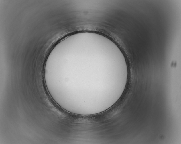 X0000110690625200906261344