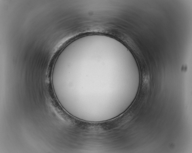 X0000110690628200906261344