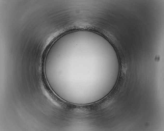 X0000110690630200906261344