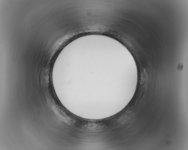 X0000110690632200906261344