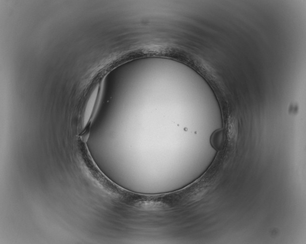 X0000110690637200906261344